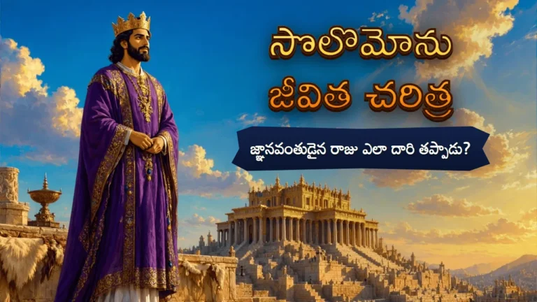 ఊదా రంగు రాజ వస్త్రాలు, బంగారు కిరీటం ధరించి నిలబడిన సొలొమోను రాజు, వెనుక సూర్యాస్తమయ వెలుగులో బంగారు మందిరం; పక్కన సొలొమోను జీవిత చరిత్ర అనే టైటిల్